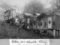 Dolenský Jan_Čikvásky