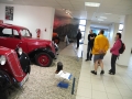 DSCF0286.JPG