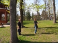 DSCF0346.JPG