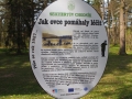 DSCF0349.JPG