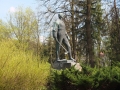 DSCF0351.JPG