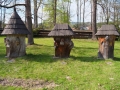 DSCF0360.JPG