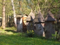 DSCF0421.JPG