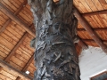 DSCF0432.JPG