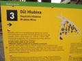 DSCF0496.JPG